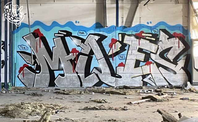 ★ MILES ★ by Miles - The Dark Roses - Denmark, February 2025